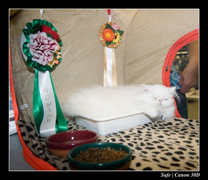 Sep 06 - Salon des animaux de compagnies - 10